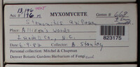 Image Associated With the Occurence